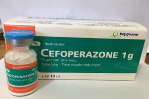Thông tin Thuốc CEFOPERAZONE 1G