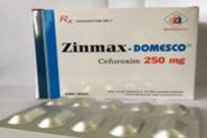 Thông tin Thuốc ZINMAX-DOMESCO 250MG